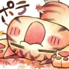 猫猫猫