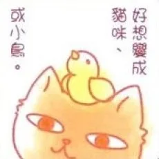 神田猫