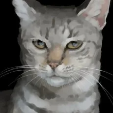 雨がっぱ少女群