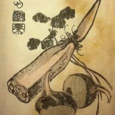 三上延