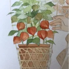 鷹野久