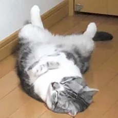 ばにー浦沢