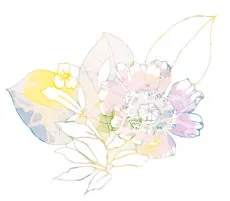 ナリ  