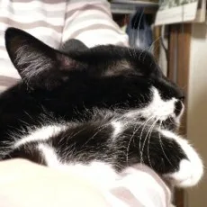 六青みつみ