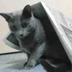 ゆーじ 