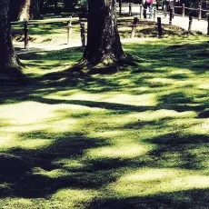 볕