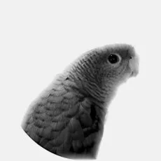 澪鳴海