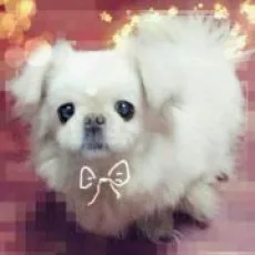 蓝扬