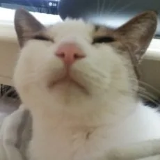 지혜경