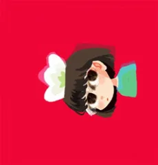 抽纸小jin