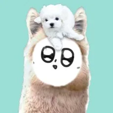 호진