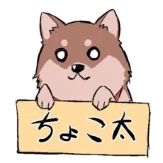 彩貴山珠