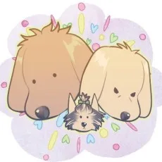 스카프