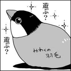 絵歩