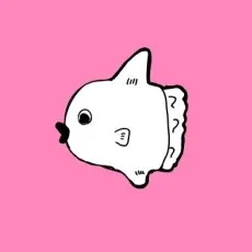 筒井いつき