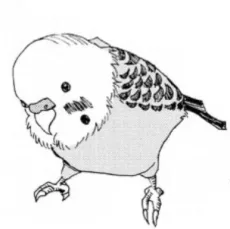 古賀慶