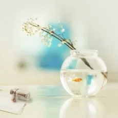 綺咲