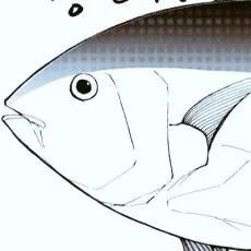 みやお
