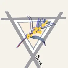 포카 