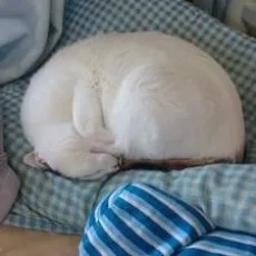 見波タクミ