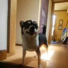 横尾公敏