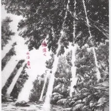 海人井槙