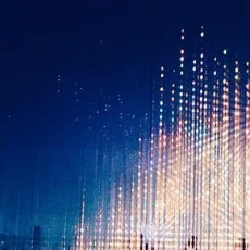 ∞谷鳩