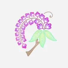 藤沼みすず