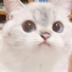 정권