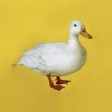 伊藤弘樹