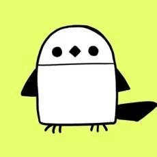 里西立樺
