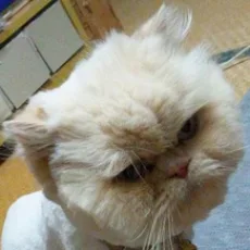 鈴木もなか