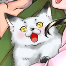 みやこかっく