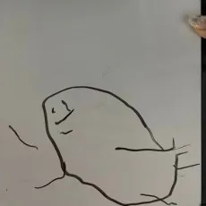 奥田哲平