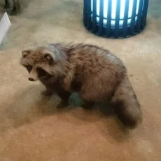 森崎緩