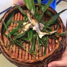 五味秀数