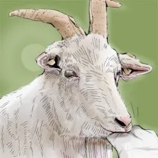 ナツたろう