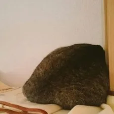 〇はぎ