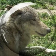 三門鉄狼