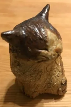 眞鍋昭大