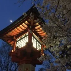 西田和成