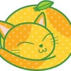 天沢夏月