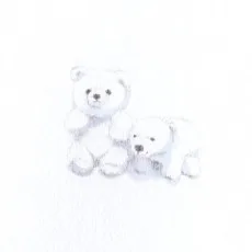 しろさめ