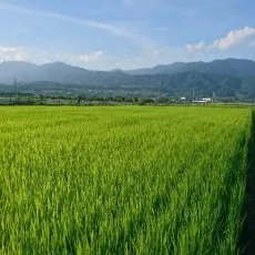 安藤敬而