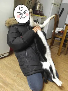 홍끼