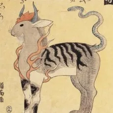 新谷信貴