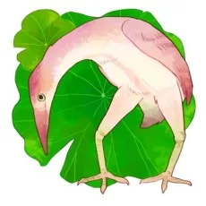 夏糖
