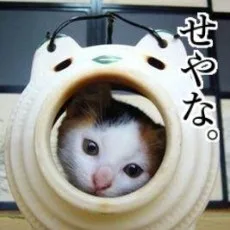 五代ゆう