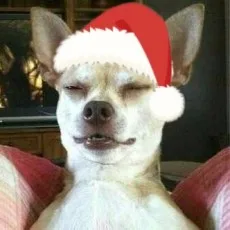 나몬