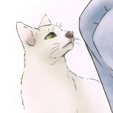 坂口みく